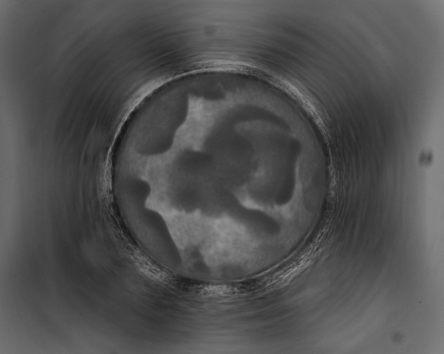 X0000100330883200806191105