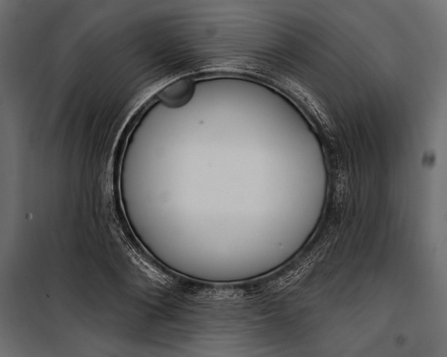 X0000100330884200806191105