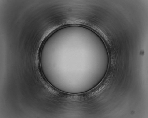 X0000100330885200806191105