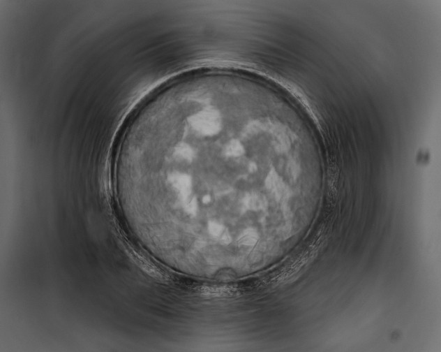 X0000100330887200806191105