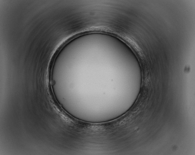 X0000100330888200806191105