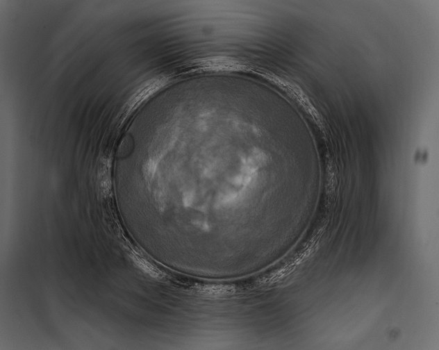 X0000100330889200806191105