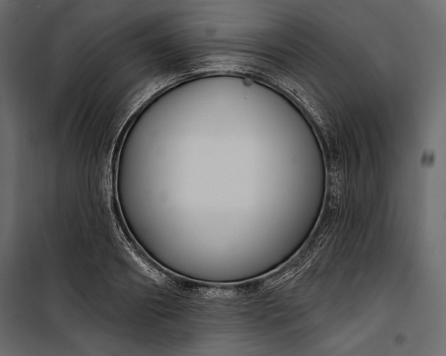 X0000100330890200806191105