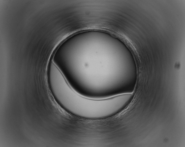 X0000100330892200806191105