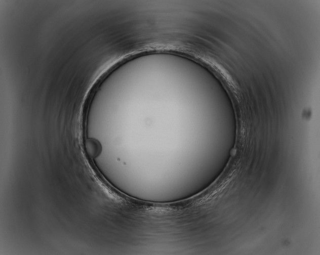 X0000100330894200806191105