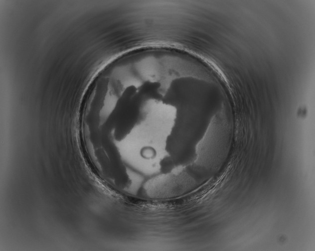 X0000100330895200806191105