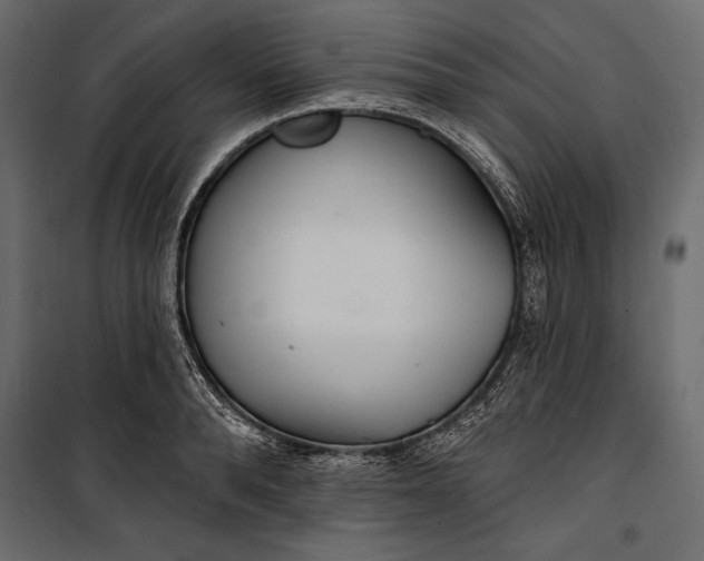 X0000100330896200806191105