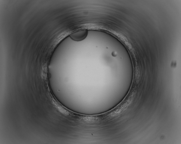 X0000100330897200806191105