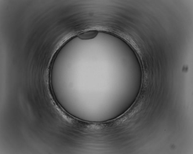 X0000100330898200806191105