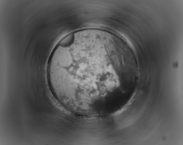 X0000100330899200806191105