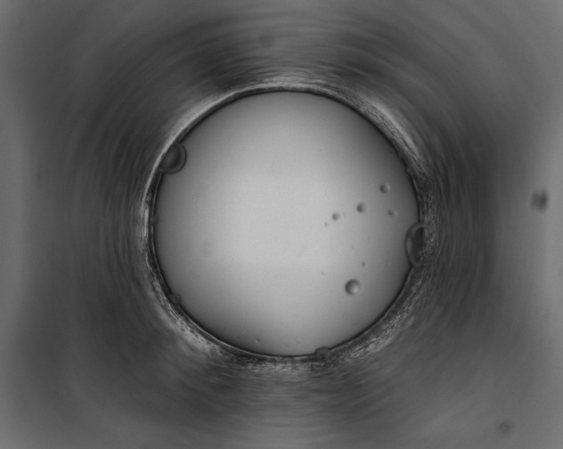 X0000100330900200806191105