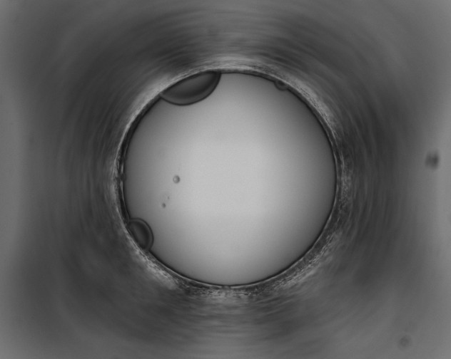 X0000100330901200806191105