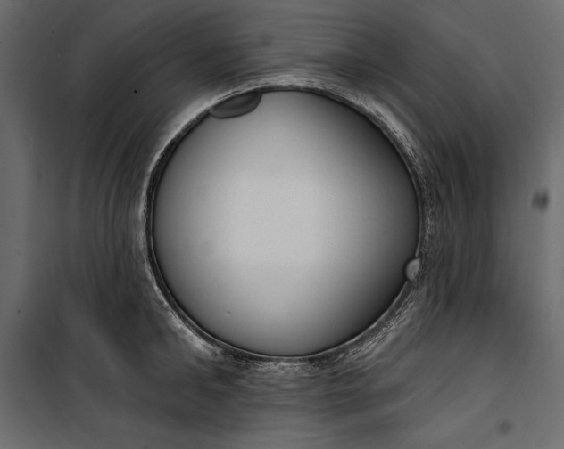 X0000100330902200806191105