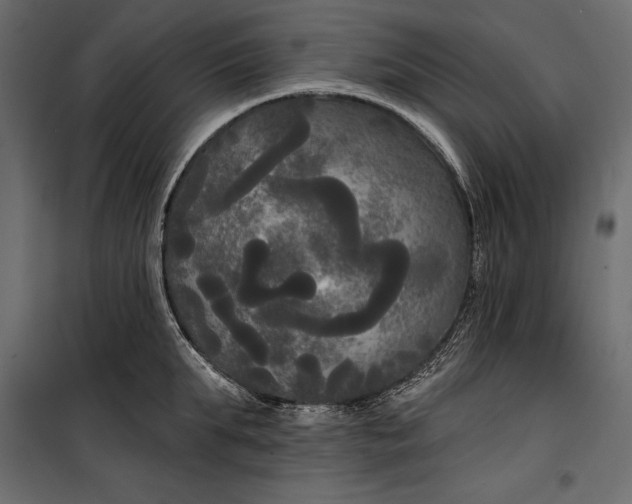 X0000100330903200806191105