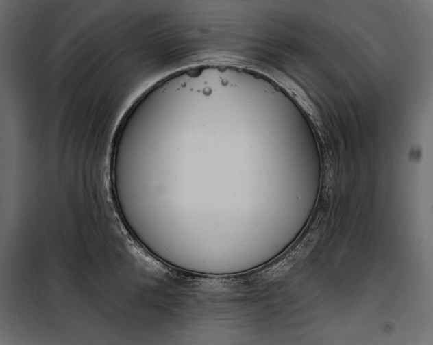 X0000100330904200806191105