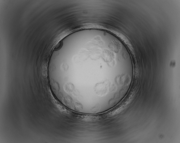 X0000100330905200806191105