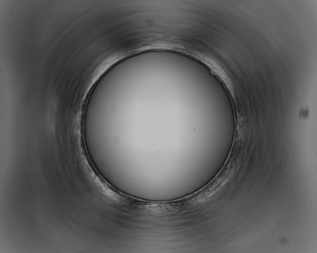 X0000100330906200806191105