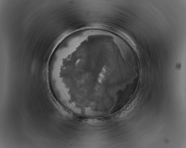 X0000100330907200806191105