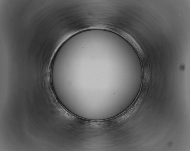 X0000100330908200806191105