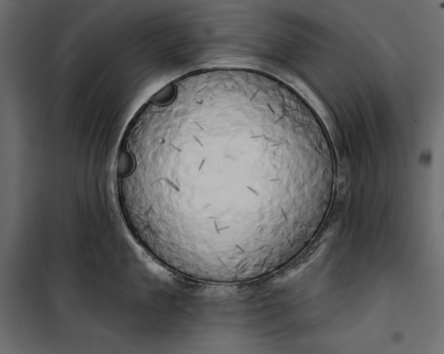 X0000100330909200806191105