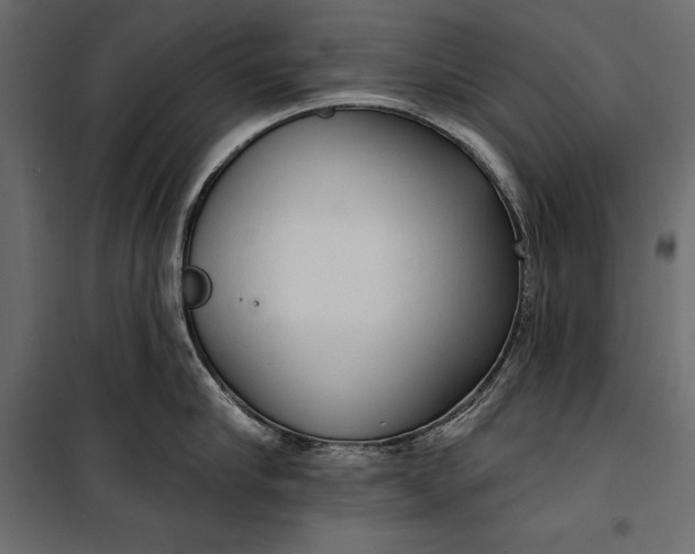 X0000100330910200806191105