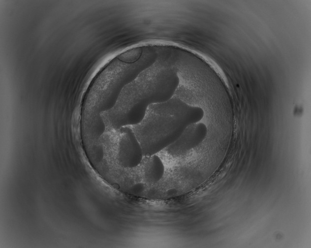 X0000100330911200806191105