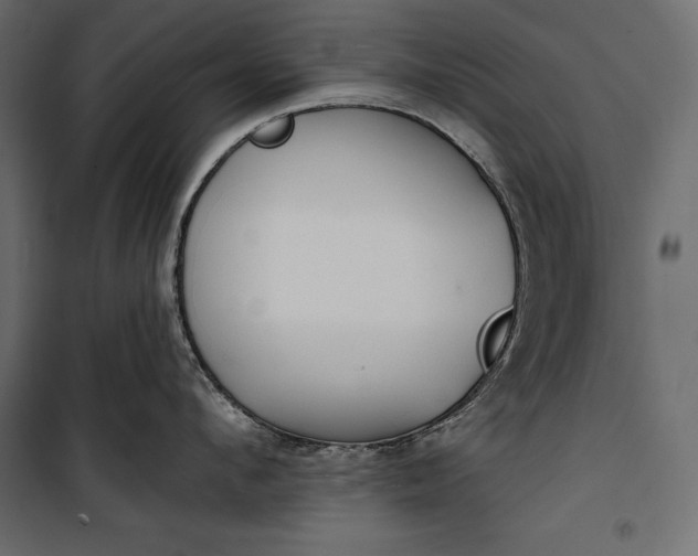 X0000100330912200806191105