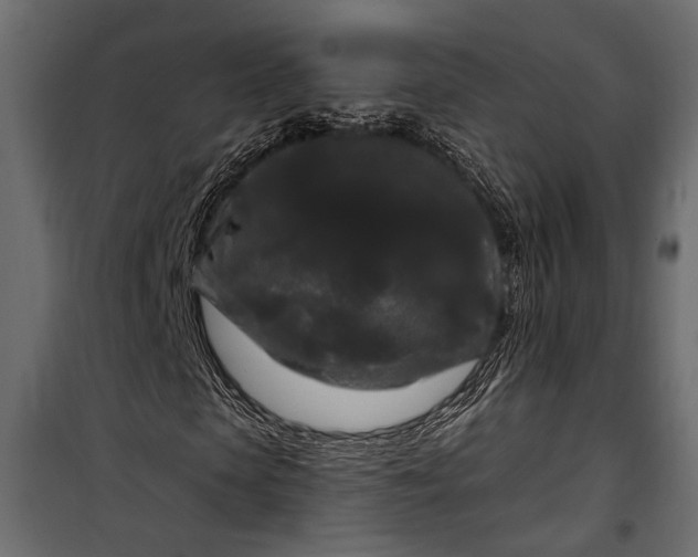 X0000100330913200806191104