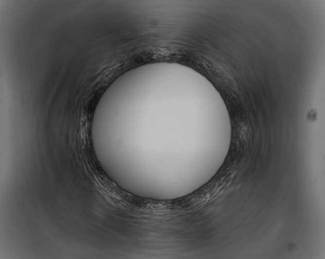 X0000100330914200806191104