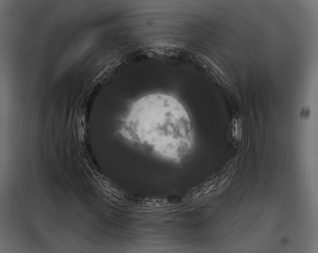 X0000100330915200806191104