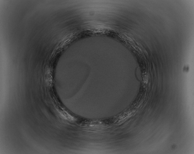 X0000100330916200806191104