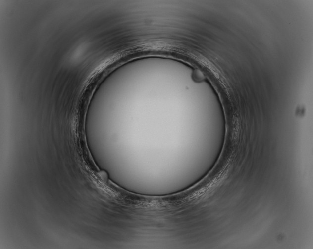 X0000100330922200806191104