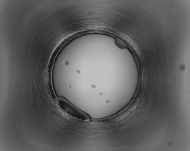 X0000100330924200806191104