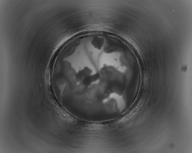 X0000100330925200806191104