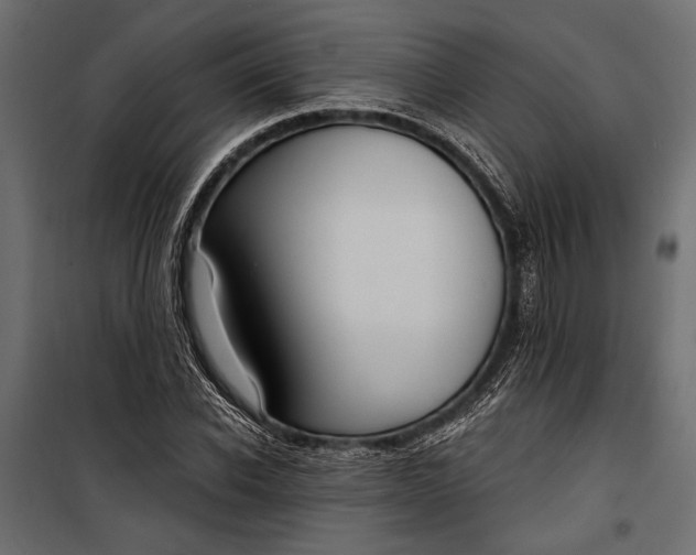 X0000100330926200806191104