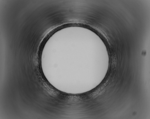 X0000100330927200806191104