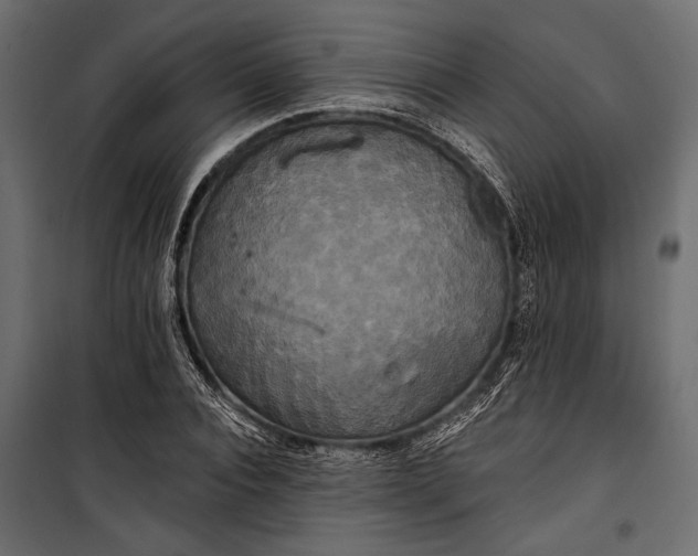 X0000100330928200806191104