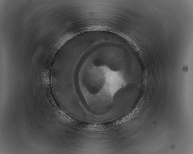 X0000100330929200806191104