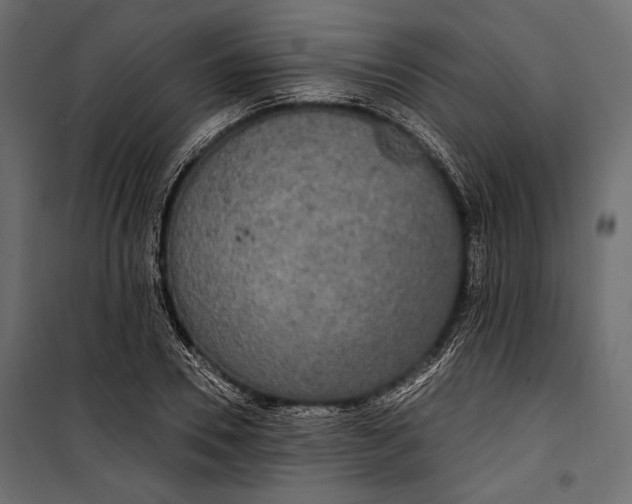 X0000100330930200806191104