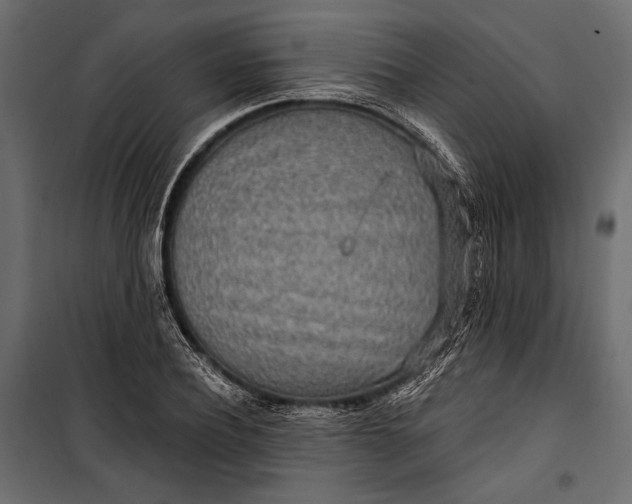 X0000100330932200806191104