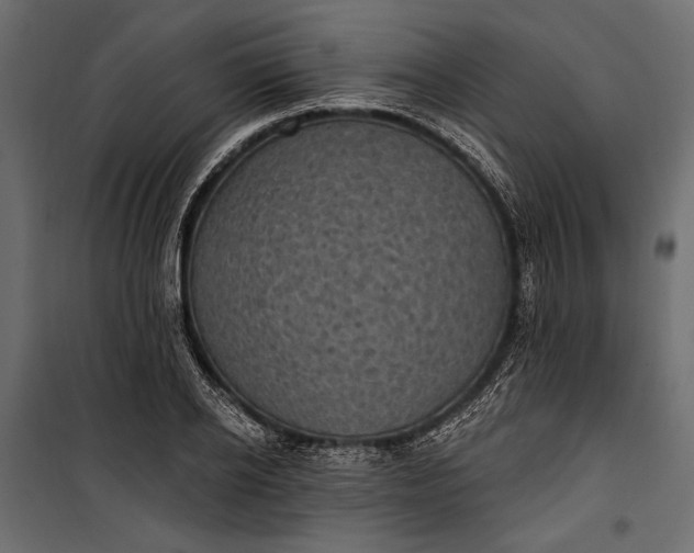 X0000100330934200806191104