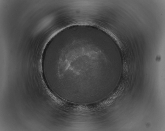 X0000100330935200806191104