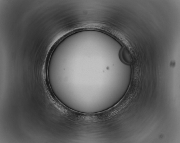 X0000100330936200806191104