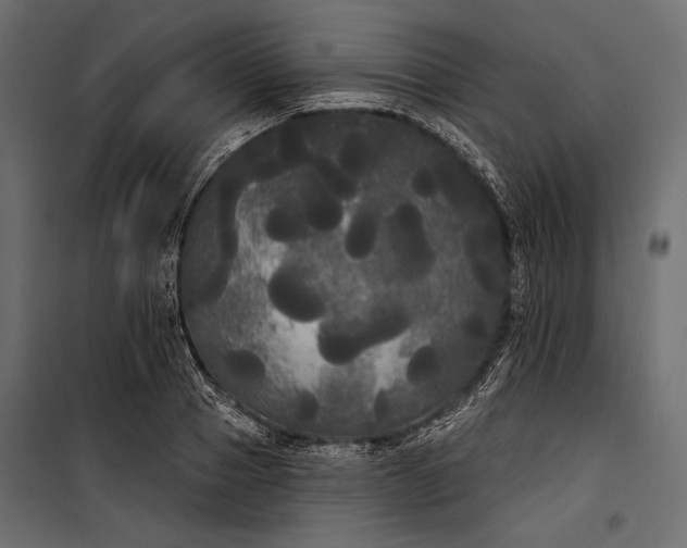 X0000100330937200806191104