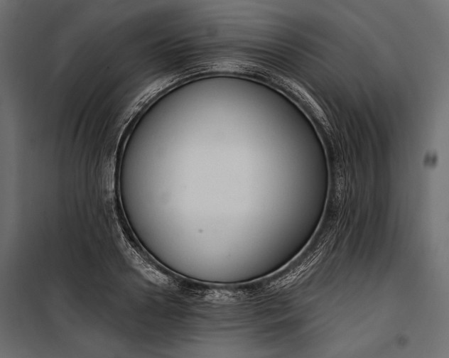 X0000100330938200806191104