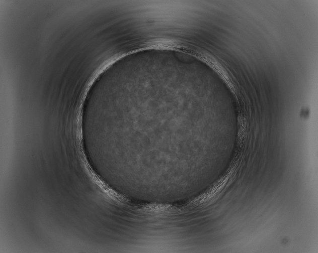 X0000100330939200806191104