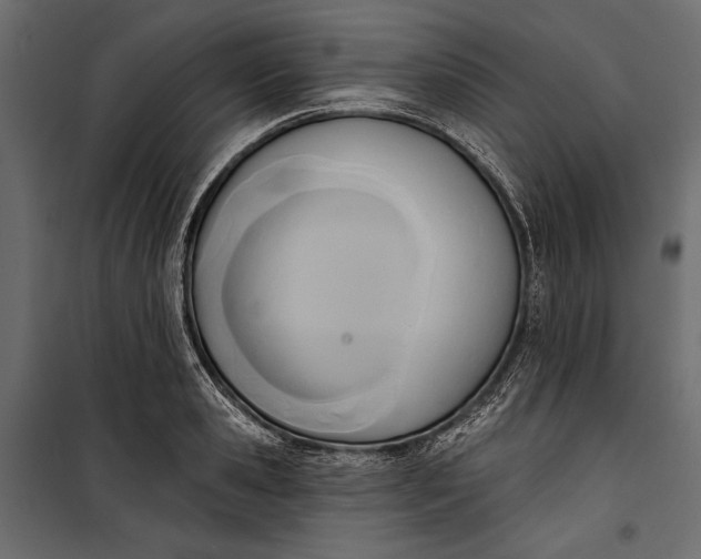 X0000100330941200806191104