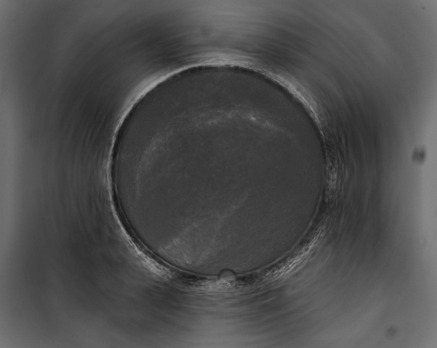 X0000100330943200806191104