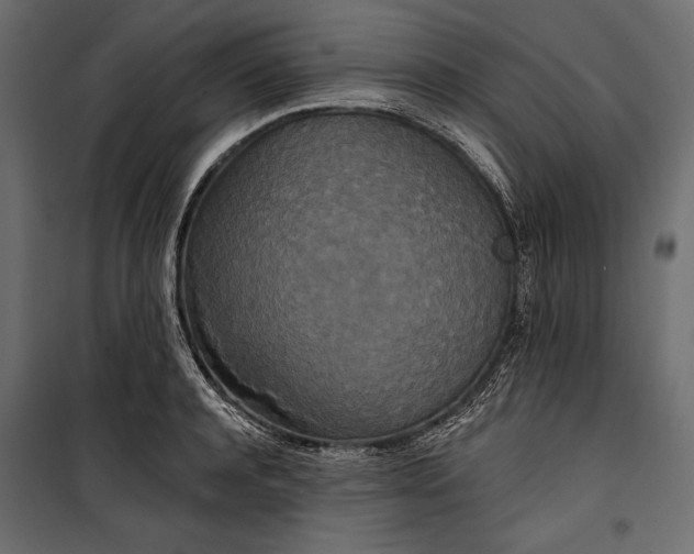 X0000100330944200806191104