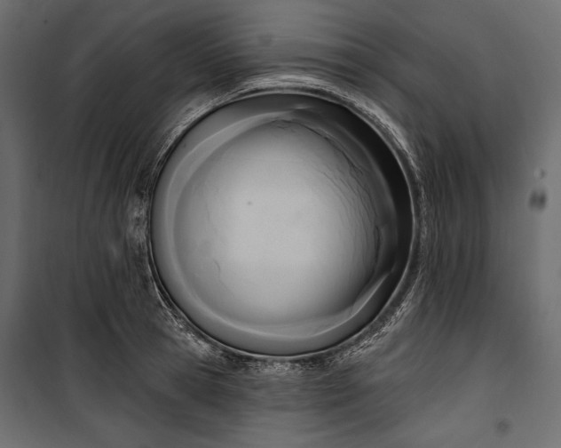 X0000100330945200806191104